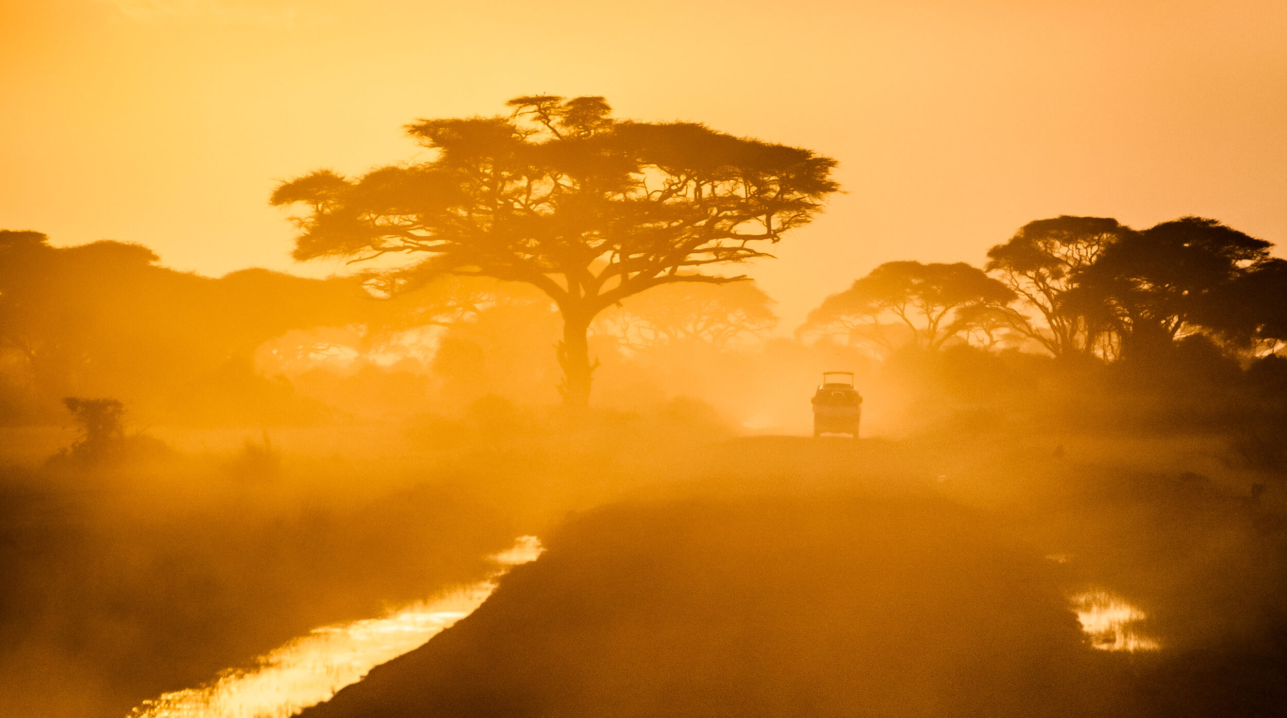 Photo of Amboseli national park, Kenya.